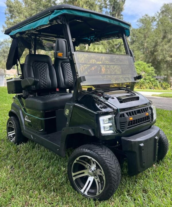 Custom Drive (C2) Golf Cart – Lithium Upgrade - Image 2