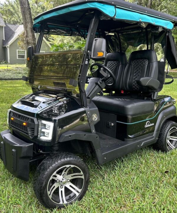 Custom Drive (C2) Golf Cart – Lithium Upgrade - Image 3