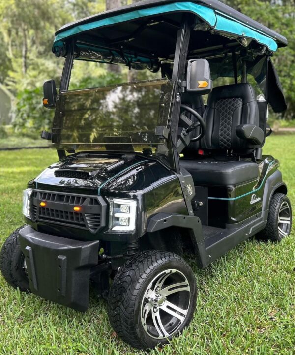 custom drive c2 golf cart for sale