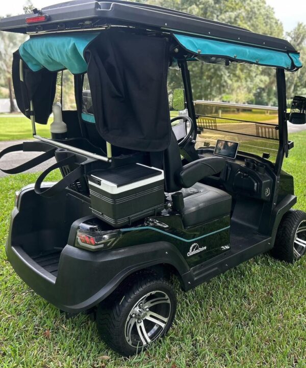 Custom Drive (C2) Golf Cart – Lithium Upgrade - Image 6